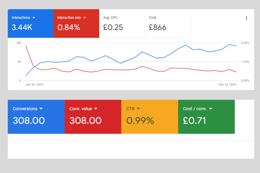 google ads expert